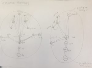 Skeleton hierarchy sketch